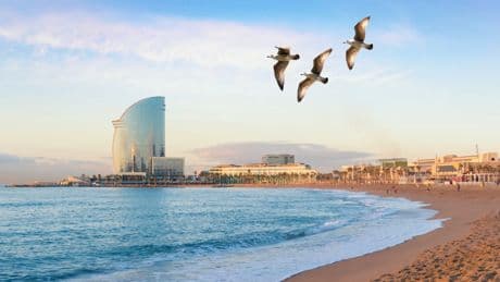 Sky, una turista en la playa de la Barceloneta: "El agua está sucia y huele mal"