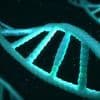 Patentstreit um CRISPR: Wer hat die Genschere wirklich erfunden?