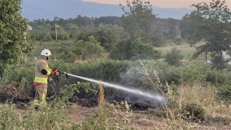 Yol kenarına atılan izmarit, otluk alanda yangına neden oldu
