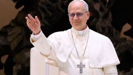 New Pope Leo XIV's brother shared X-rated clip laying into Nancy Pelosi