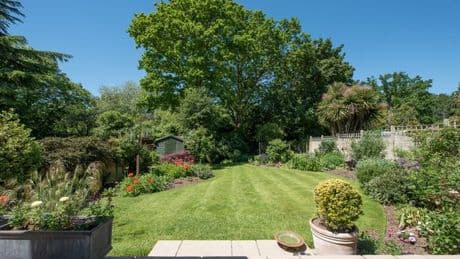 Warning on exact rules if neighbour's tree is blocking sunlight in your home or garden
