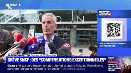 Grève SNCF: que va t-il se passer pour les voyageurs dont le train est annulé? BFMTV répond à vos questions