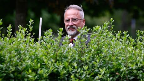 Anwalt erklärt - So hoch darf ihre Garten-Hecke sein