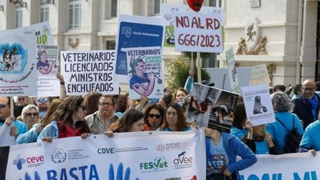 Los veterinarios calientan motores para manifestarse el 7 y 8 de junio contra la regulación de las recetas