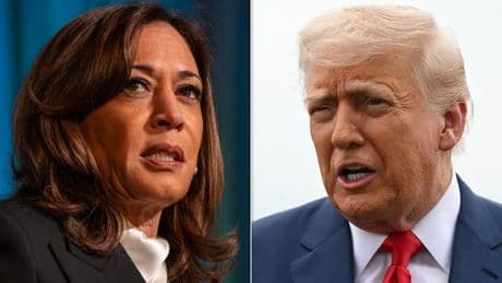 Kamala Harris Torches Trump Over 'Cruel, Calculated' Move Targeting Los Angeles