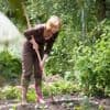 Welke insecten in je tuin zijn echt nuttig?