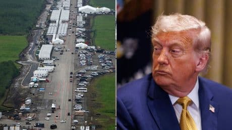 Trumps neuer Abschiebe-Knast Alligator Alcatraz: Inhaftierte berichten von Horror-Methoden