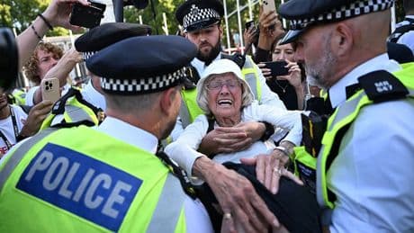 Labour Minister Defends Arrest Of Elderly Woman For Holding Sign At Palestine Action Demo