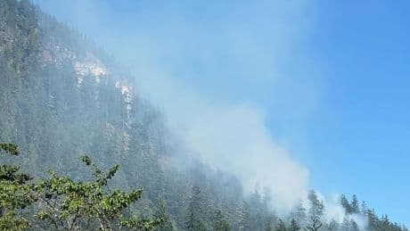 Out-of-control wildfire burning in Squamish, people asked to avoid area