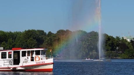 Elbvertiefung: Der tägliche Newsletter aus Hamburg: Vom perfekten Grün und kleinen Paradiesen