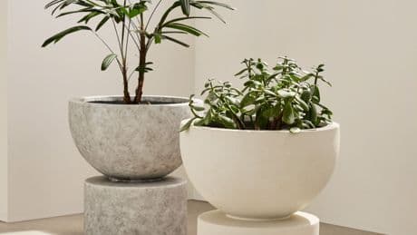 The most aesthetic planters you can buy in Canada right now
