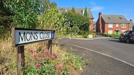 Mum-of-four forced to pay £116,000 TEN YEARS after chopping down tree outside her home when council noticed