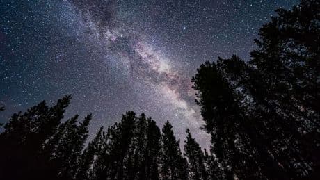 Today’s New Moon Reveals Summer’s Best Night Sky Sights — Where To Look