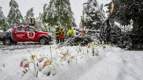 Météo : sévères chutes de neige dans les Alpes françaises et suisses