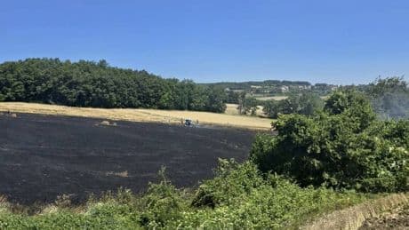 Samsun'da tarım arazisinde çıkan yangında 16 dönüm alan zarar gördü