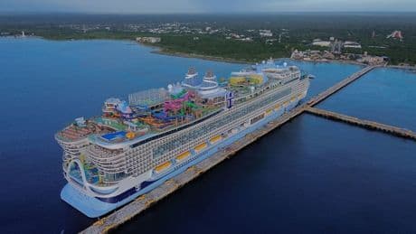Cruise ship crew member stabbed female colleague, 28, before jumping overboard to his death in Caribbean