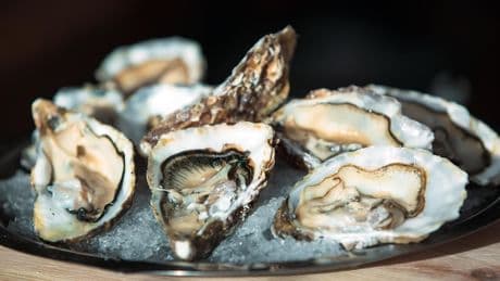 En Occitanie, des coquilles d’huître et des huiles végétales pour façonner les routes