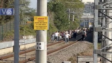 Marmaray hattına ağaç devrildi! Yolcular kısa süreli panik yaşadı