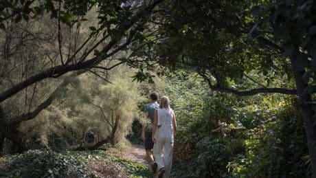 No Running Water and No Electricity, but for Some Venetians, This Island Is Paradise
