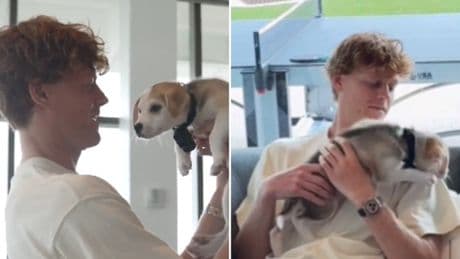 Sinner con un cane a Cincinnati: il campione in versione dog sitter per stemperare la tensione prima della semifinale