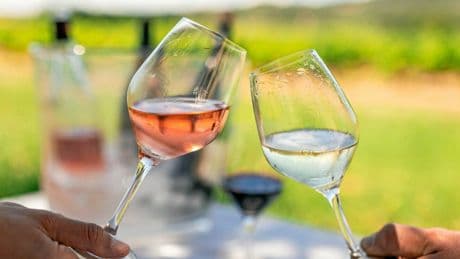 Vins de l’été 2025 : notre sélection de la Vallée du Rhône, des costières-de-nîmes à grignan-les-adhémar