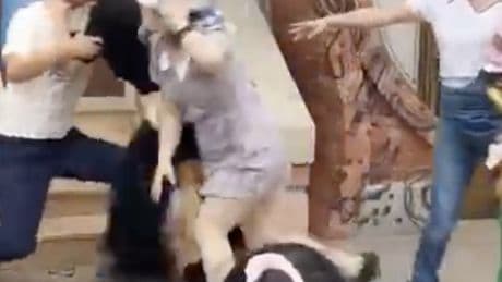 Shocking moment brutal Disneyland brawl breaks out between two families after row over queue cutting turns violent