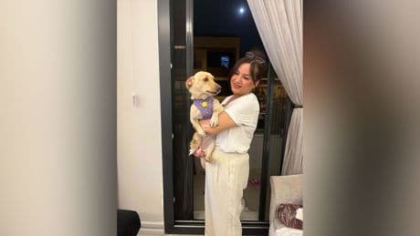 Aydın'da gördüğü vahşi şiddetin ardından felç kalan sevimli Hayat, Almanya'da yeni yuvasına kavuştu