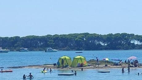 Ferragosto, allerta per i turisti "cafoni": dai campeggi improvvisati alle risse in spiaggia, le vacanze del caos
