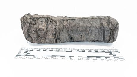 Title of scroll burnt to a crisp by Mt Vesuvius 2,000 years ago finally read by AI – & we even know who wrote them