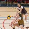 Quimper volley. Emma Leroy, cinquième recrue d’un effectif en plein renouvellement