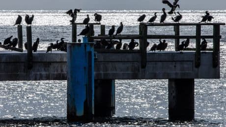 Es wird kühler, bleibt aber sommerlich