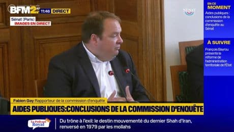 Aides publiques aux entreprises: la commission d'enquête sénatoriale dénonce l'absence de suivi des dispositifs