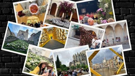 4 puntos de vista de Temps de Flors en Girona