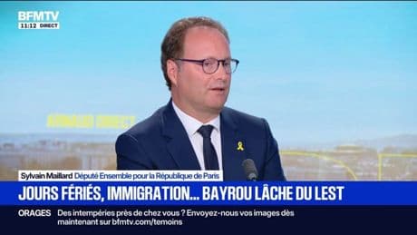 Budget: "Chacun d'entre nous devra faire des pas coûteux", affirme Sylvain Maillard (EPR)