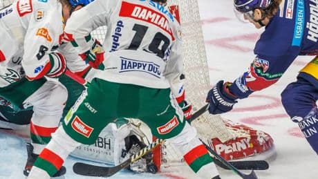 Verteidiger mit DEL2-Erfahrung: DEG präsentiert neuen Spieler aus Augsburg