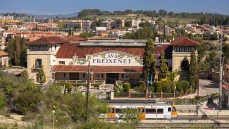 Freixenet y los sindicatos pactan reducir los despidos a 154 con 50 días de indemnización