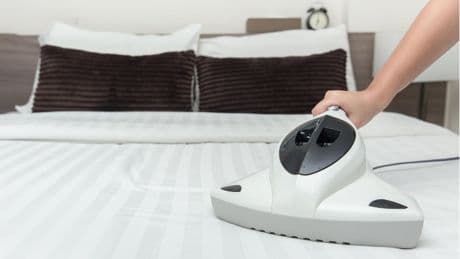 Hausstauballergie: Milben bekämpfen: So reduzieren Sie den Befall im Schlafzimmer