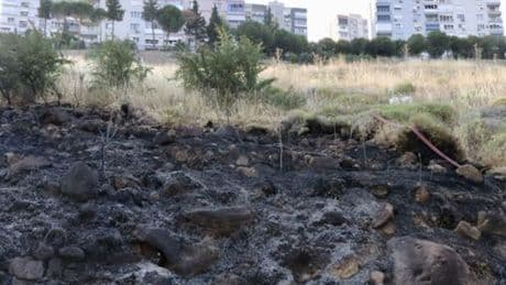 İzmir'de otluk ve ağaçlık alanda yangın