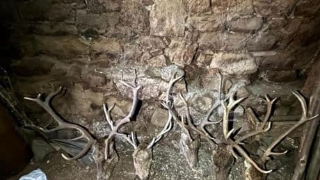Los Mossos descubren el escondite del botín de unos cazadores furtivos