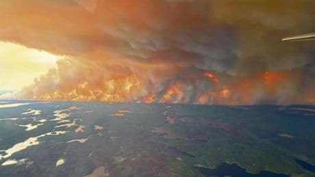 Feux de forêts au Canada : déjà plus de 2 millions d’hectares ravagés par les flammes
