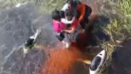 Terrified crash survivors cling to plane for 36 hours in alligator-infested swamp after emergency landing in Amazon