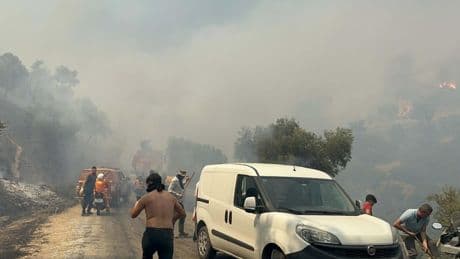 Aydın Efeler’de orman yangını: Tarım arazisinde çıkan yangın, ormana sıçradı