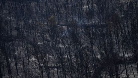 Firefighters battle to prevent reignition of France’s largest wildfire as residents return home