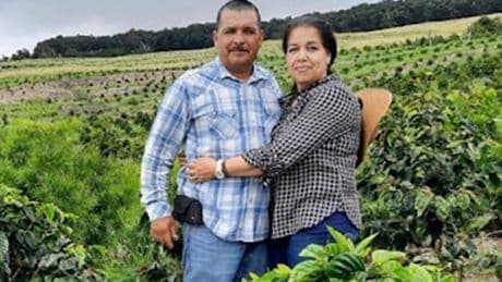 Immigrants are being rounded up in Hawaii’s coffee fields and being treated worse than ‘cats and dogs,’ locals say