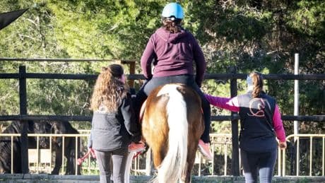 Caballos que salvan vidas: la Fundación Centauro Quirón y su modelo de ayuda