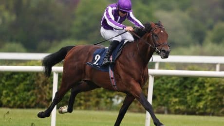 Unbeaten horse ‘who never stops improving’ sparks huge Derby shake-up with shock £75,000 entry in Epsom race