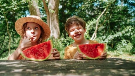 Bloß nicht wegwerfen! - In Melonenschalen steckt mehr drin, als Sie denken