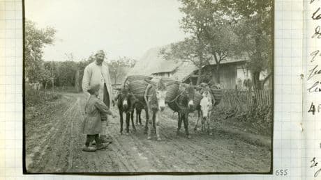 Exposition : à Meaux, hommes et chevaux, frères d’armes en 14-18