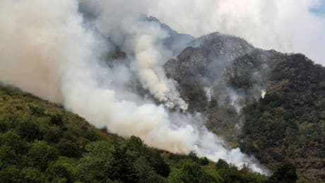 Abanca dona un millón de euros para ayudar a los afectados por los incendios forestales