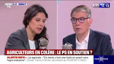 Loi Duplomb: "Ce texte est une fuite en avant vers l'agro-industrie", déclare Olivier Faure (PS)
